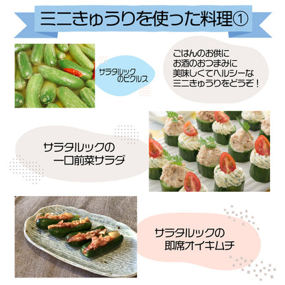 【徳島・阿波市産】ミニきゅうり「サラタルック」 250g（4〜7本）×10袋 計2.5kg【MKファーム】