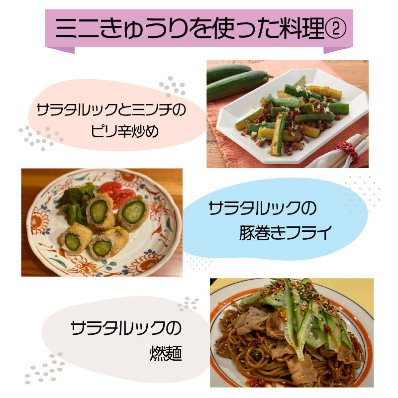【徳島・阿波市産】ミニきゅうり「サラタルック」 250g（4〜7本）×10袋 計2.5kg【MKファーム】