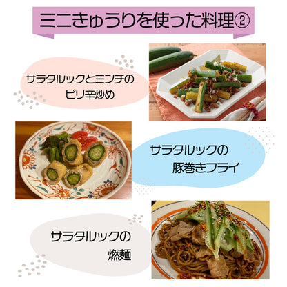 【徳島・阿波市産】ミニきゅうり「サラタルック」 250g（4〜7本）×10袋 計2.5kg【MKファーム】