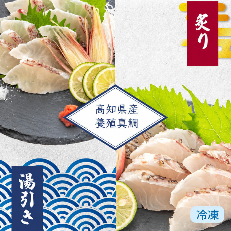 高知県産真鯛の炙り・湯引きセット　１尾分