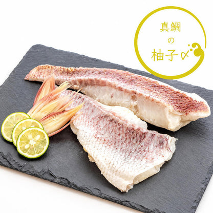 【豪華セット】高知県産 真鯛の炙り・湯引き・ゆず締めセット【冷凍】