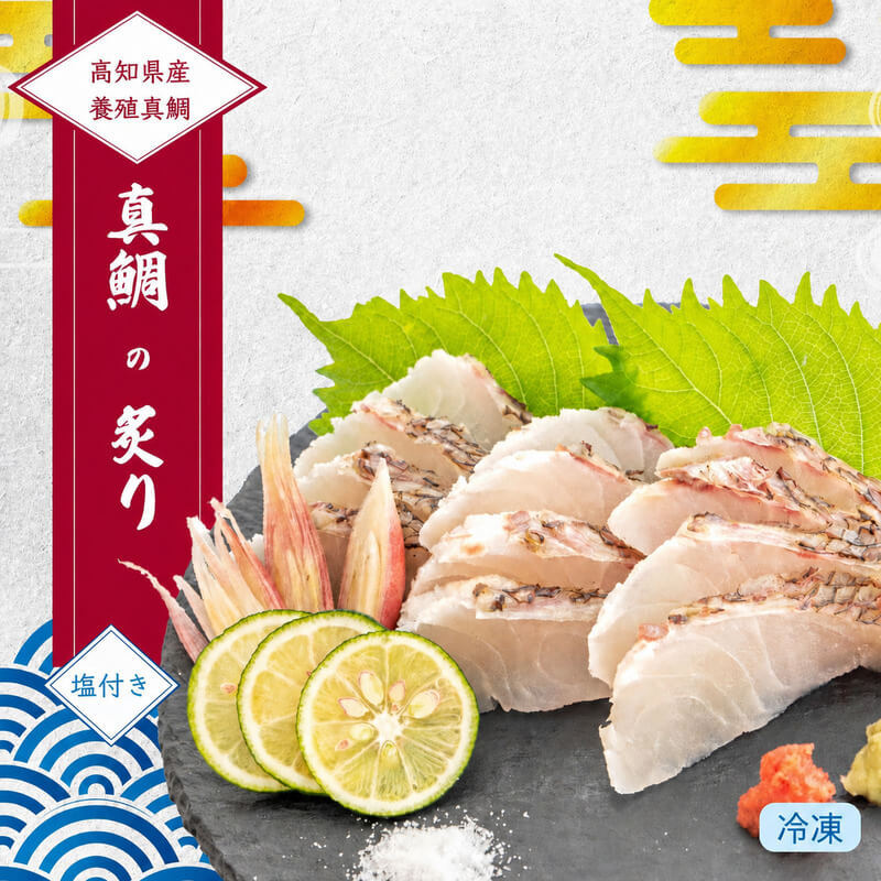 高知県産真鯛の炙り（半身分）