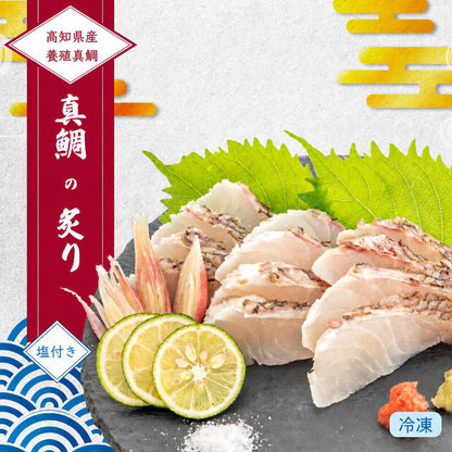 高知県産真鯛の炙り（半身分）