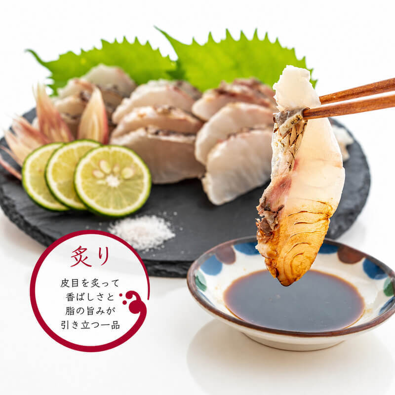 【豪華セット】高知県産 真鯛の炙り・湯引き・ゆず締めセット【冷凍】