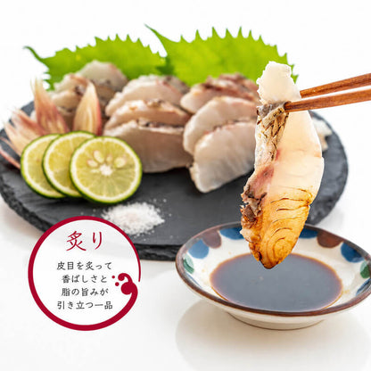 【豪華セット】高知県産 真鯛の炙り・湯引き・ゆず締めセット【冷凍】