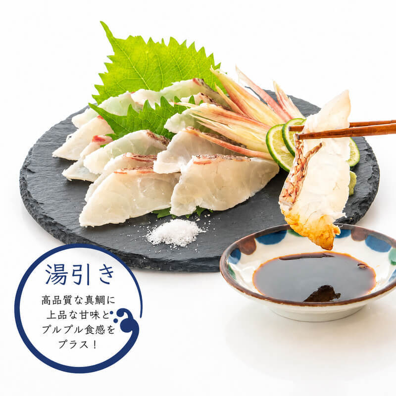 【豪華セット】高知県産 真鯛の炙り・湯引き・ゆず締めセット【冷凍】