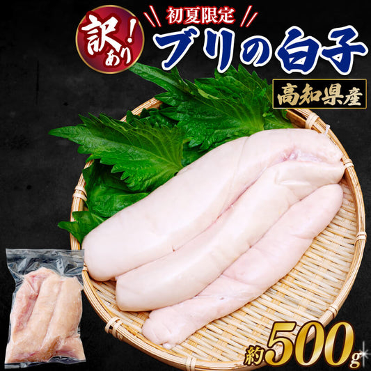 高知県産 ブリの白子 約500g