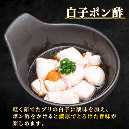 高知県産 ブリの白子 約500g