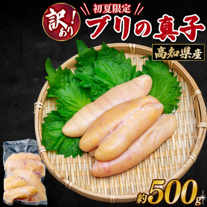高知県産 ブリの真子 約500g