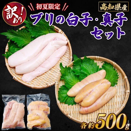 高知県産 ブリの白子・真子セット 各約500g