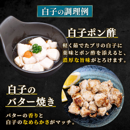 高知県産 ブリの白子・真子セット 各約500g