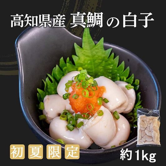 高知県産真鯛の白子 約1kg