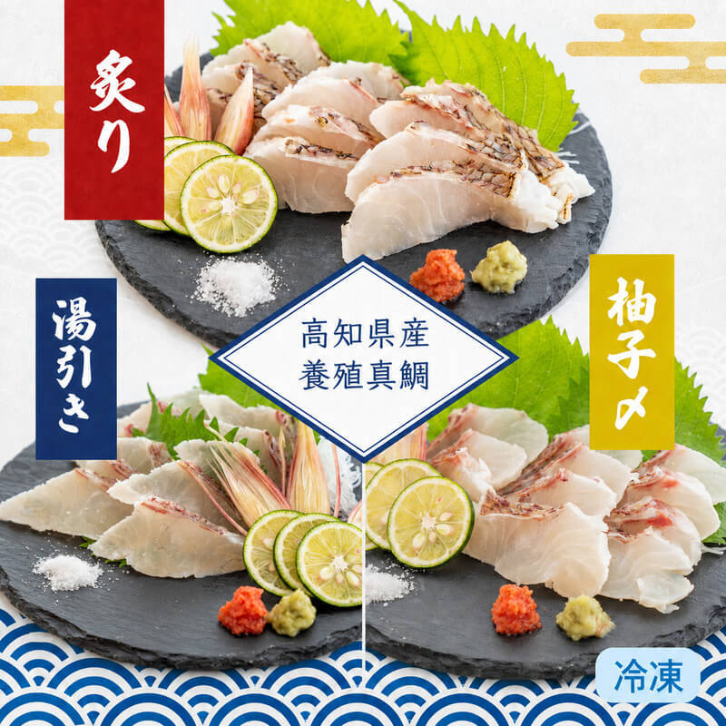 豪華3種セット】 高知県産真鯛の炙り・湯引き・ゆず締めセット 各半身
