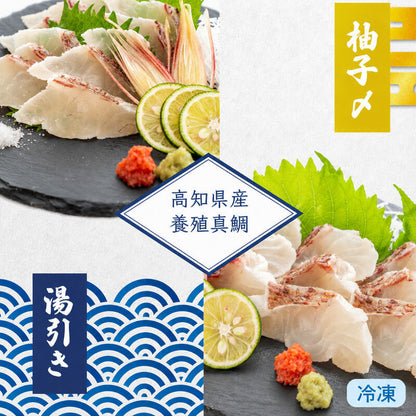 【真鯛セット】高知県産 真鯛の湯引き・ゆず締めセット【冷凍】