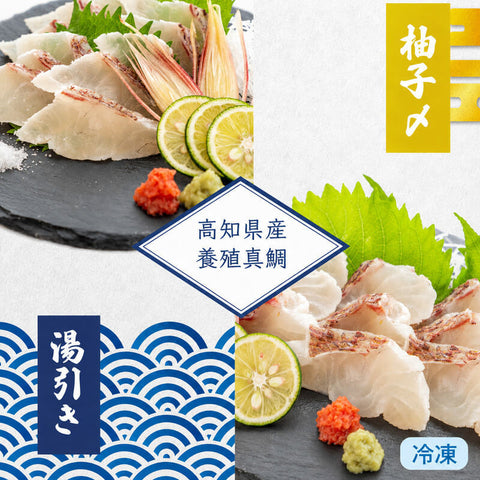 【真鯛セット】高知県産 真鯛の湯引き・ゆず締めセット【冷凍】