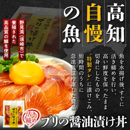 こだわり！高知のお魚 漬け丼５種セット【ブリ】【カンパチ】