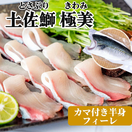 高知県産ブリ　土佐鰤「極美」カマ付フィレ（半身）【鮮魚】【ブリ】