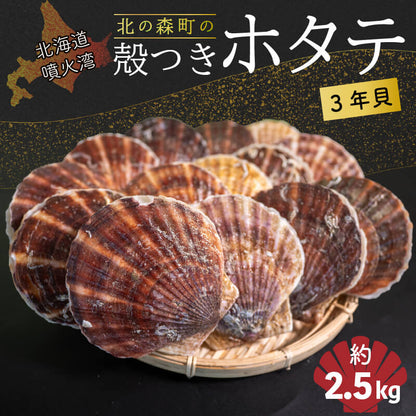 北海道・噴火湾産 北の森町 殻付き生ホタテ 3年貝 無選別品 約2.5kg
