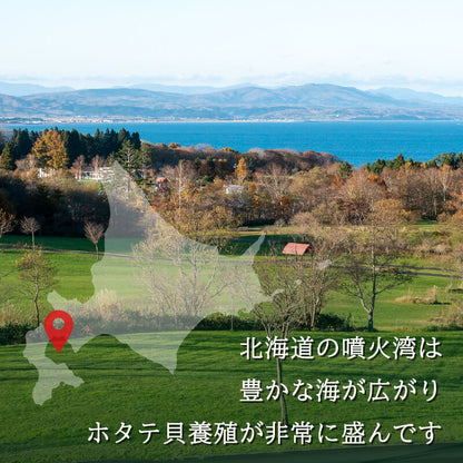 北海道・噴火湾産 北の森町 殻付き生ホタテ 3年貝 無選別品 約2.5kg