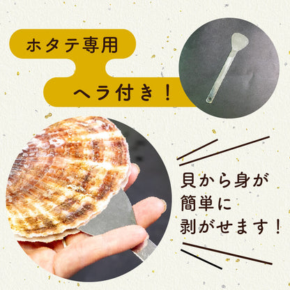 北海道・噴火湾産 北の森町 殻付き生ホタテ 3年貝 無選別品 約2.5kg