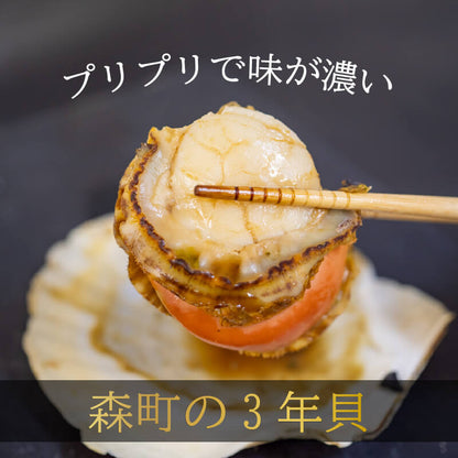 北海道・噴火湾産 北の森町 殻付き生ホタテ 3年貝 無選別品 約2.5kg