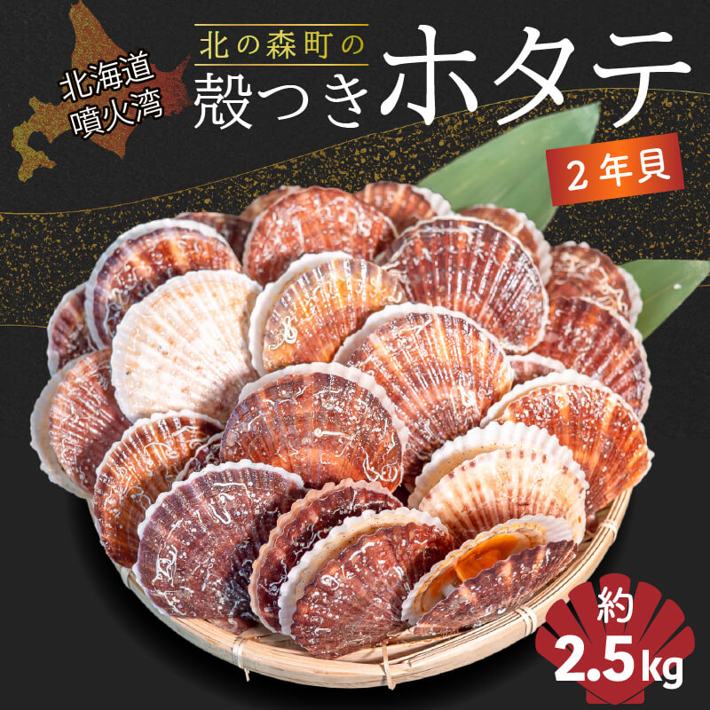 北海道・噴火湾産 北の森町 殻付き生ホタテ 2年貝 無選別品 約