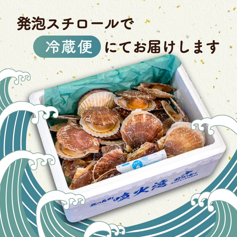 北海道・噴火湾産 北の森町 殻付き生ホタテ 2年貝 無選別品 約