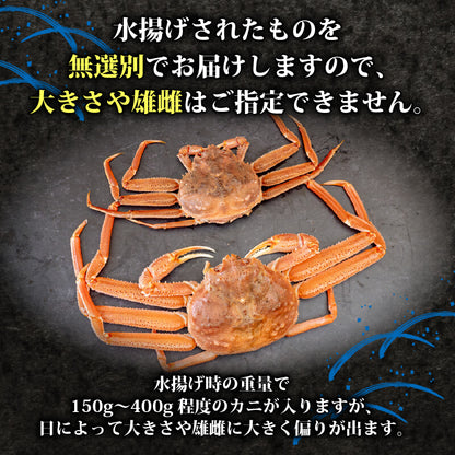オオズワイガニ 無選別品 生でお届け！