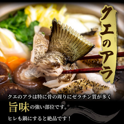 愛媛県・宇和島産クエ　鍋用650g（切り身300g・アラ350g）