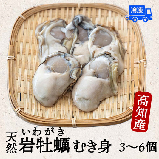 【６〜９月限定】高知産・天然岩牡蠣　むき身（冷凍）
