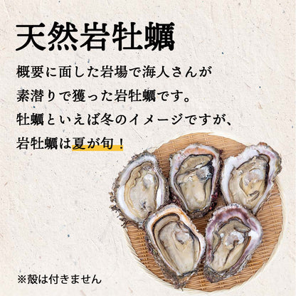 【６〜９月限定】高知産・天然岩牡蠣　むき身（冷凍）