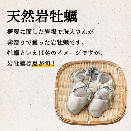 【６〜８月限定】【訳あり】高知産・天然岩牡蠣　殻付き １個【お届け日指定不可】