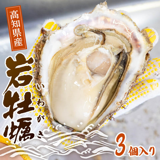 【夏限定】高知産・天然岩牡蠣　殻付き 3個【お届け日指定不可】