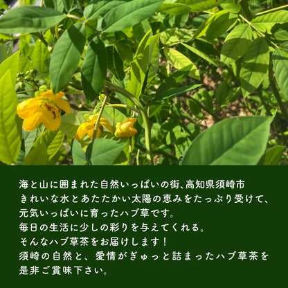 【高知県須崎市産】ハブ草茶【6個入～16個入まで選択可】