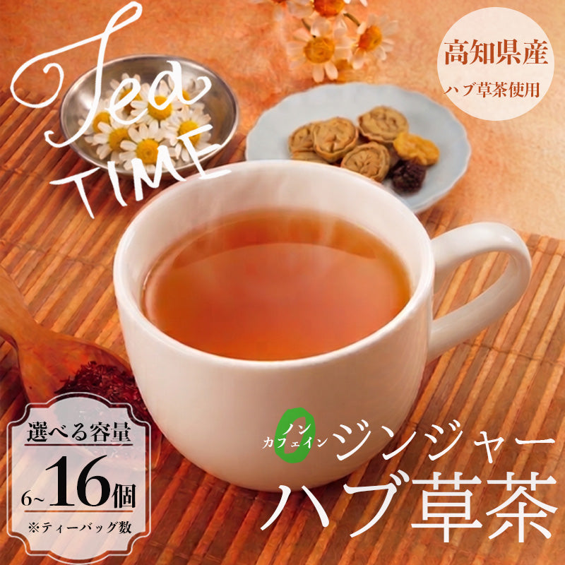 【高知県須崎市産】ジンジャー ハブ草茶【6個入～16個入まで選択可】