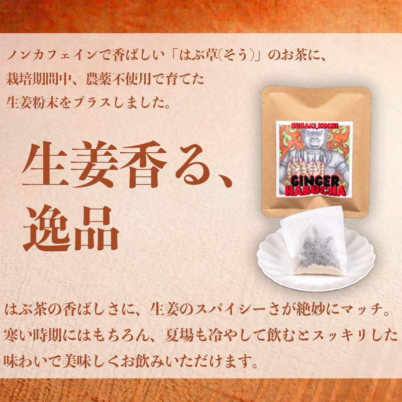【高知県須崎市産】ジンジャー ハブ草茶【6個入～16個入まで選択可】