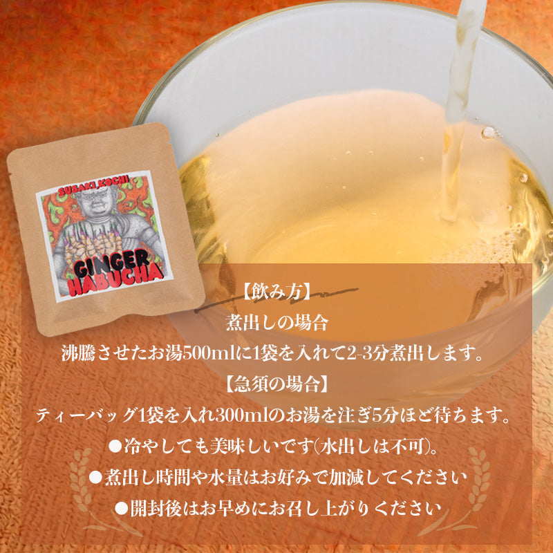 【高知県須崎市産】ジンジャー ハブ草茶【6個入～16個入まで選択可】
