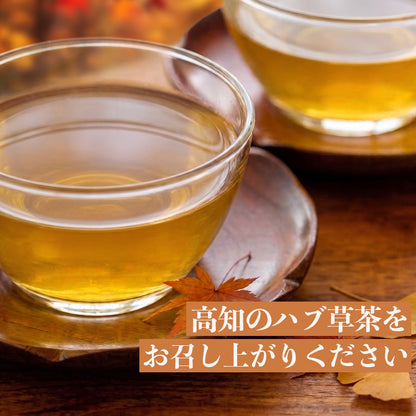 【高知県須崎市産】ジンジャー ハブ草茶【6個入～16個入まで選択可】
