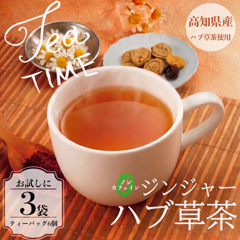 【高知県須崎市産】ジンジャー ハブ草茶【6個入～16個入まで選択可】