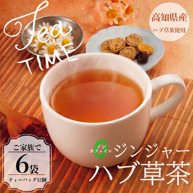 【高知県須崎市産】ジンジャー ハブ草茶【6個入～16個入まで選択可】