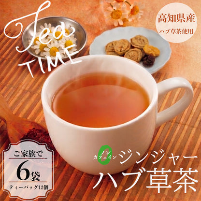 【高知県須崎市産】ジンジャー ハブ草茶【6個入～16個入まで選択可】
