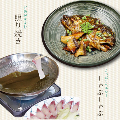 須崎勘八（すさきカンパチ）　半身分　お刺身用柵【鮮魚】【カンパチ】