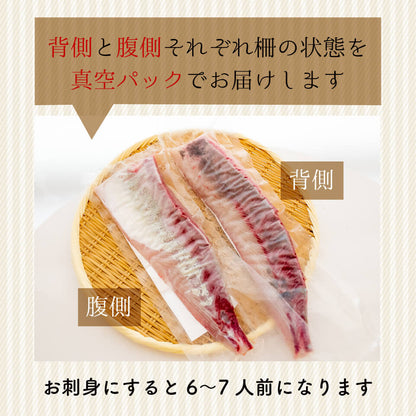 須崎勘八（すさきカンパチ）　半身分　お刺身用柵【鮮魚】【カンパチ】