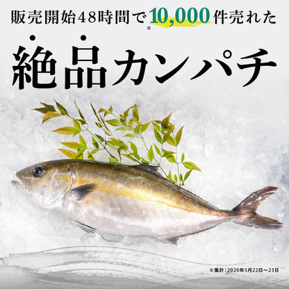 須崎勘八（すさきカンパチ）　半身分　お刺身用柵【鮮魚】【カンパチ】