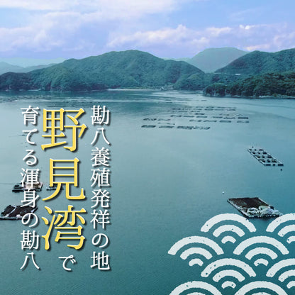 須崎勘八（すさきカンパチ）　1匹丸ごと セミドレス　お刺身用【鮮魚】【カンパチ】