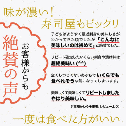 須崎勘八（すさきカンパチ）　1匹丸ごと セミドレス　お刺身用【鮮魚】【カンパチ】