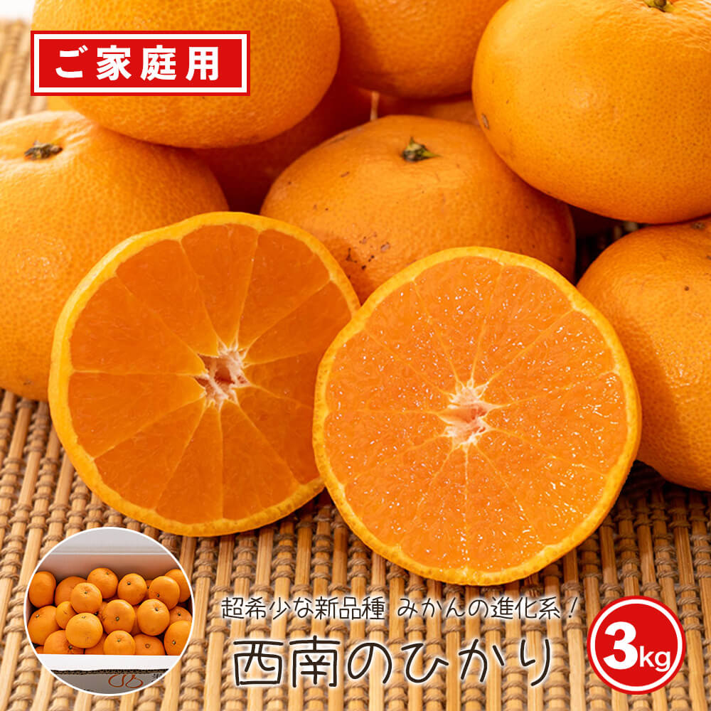 にゃぁ❗️鹿児島県産　西南のひかり　L-3L 化粧箱　天みかん　M 5kg 西南のひかり4kg：愛媛県産のみかん・柑橘類｜食べチョク