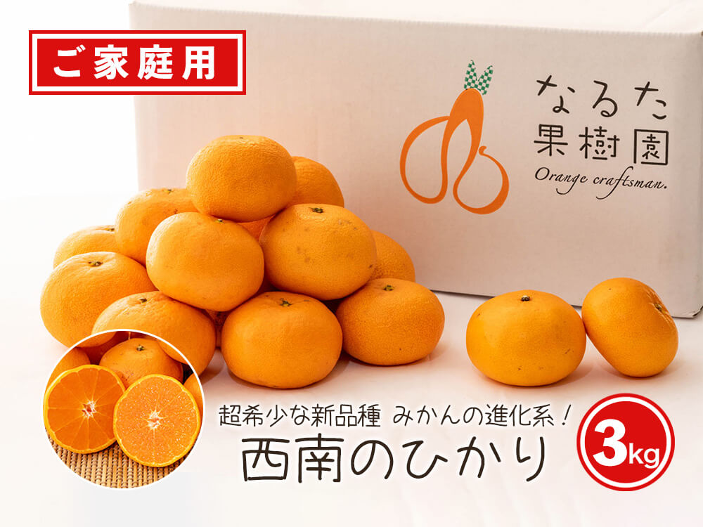【今季終了】超希少な新品種みかん　西南のひかり 3kg【高知県宿毛市・なるた果樹園】【柑橘】