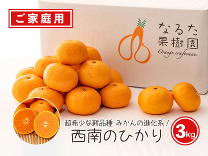 【今季終了】超希少な新品種みかん　西南のひかり 3kg【高知県宿毛市・なるた果樹園】【柑橘】