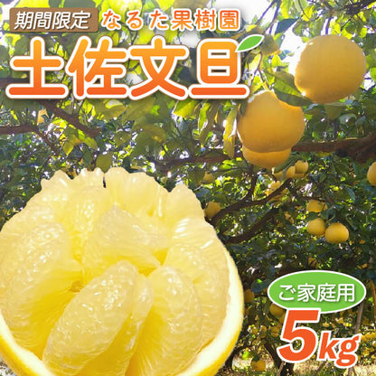 宿毛産・土佐文旦5kg～10kg（ご家庭用）【高知県宿毛市・なるた果樹園】【柑橘】